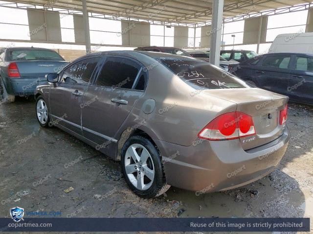 Auction photo