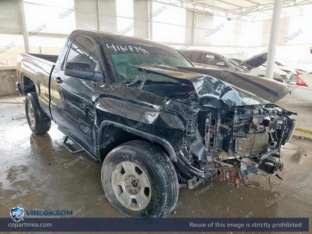 Auction photo