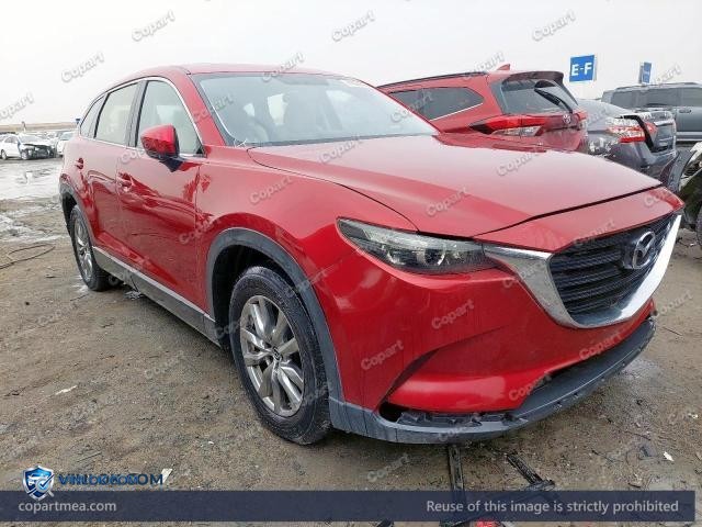 Auction photo