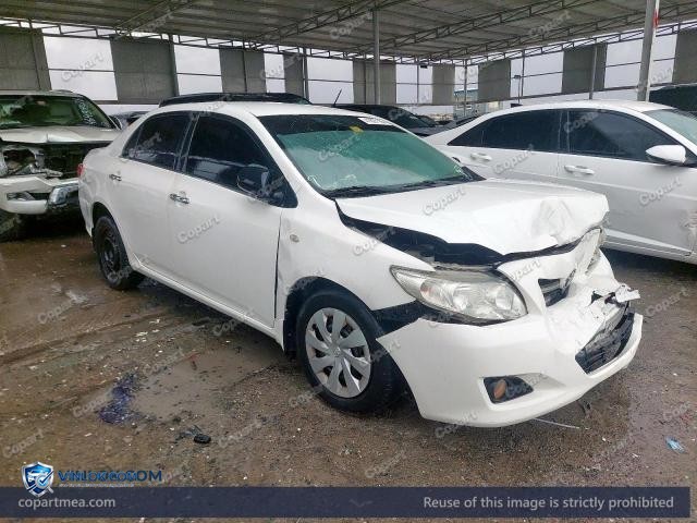 Auction photo