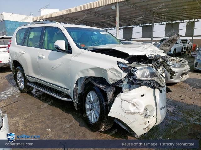 Auction photo
