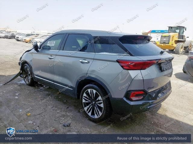 Auction photo