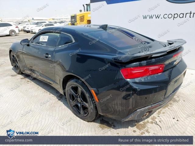 Auction photo