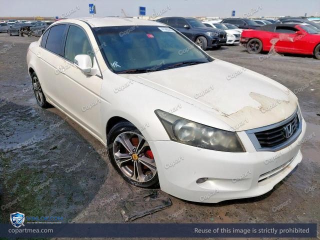 Auction photo
