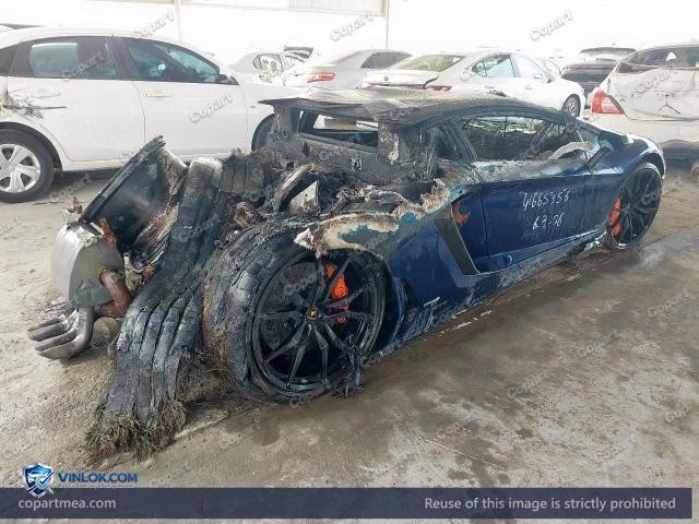 Auction photo