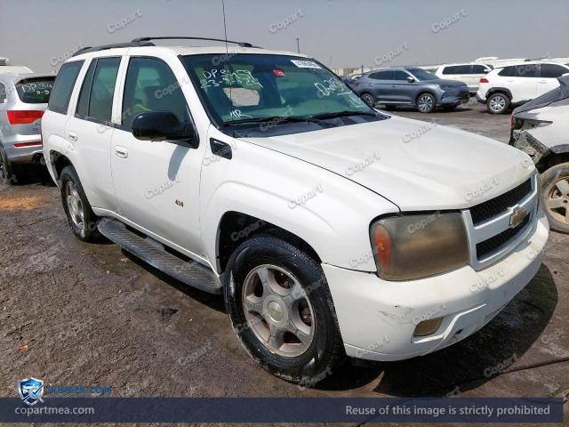 2008 CHEVROLET TRAILBLAZE — Lot 41665496 auction photo