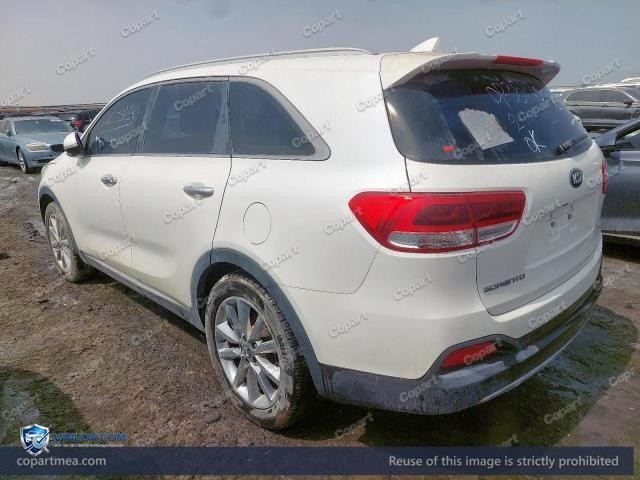 Auction photo