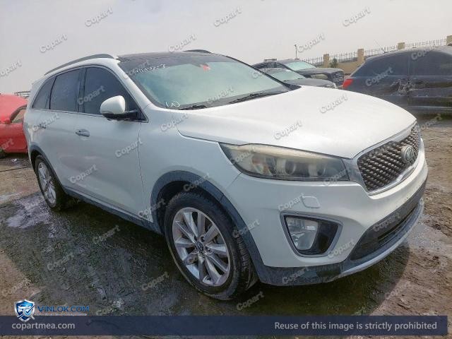 Auction photo