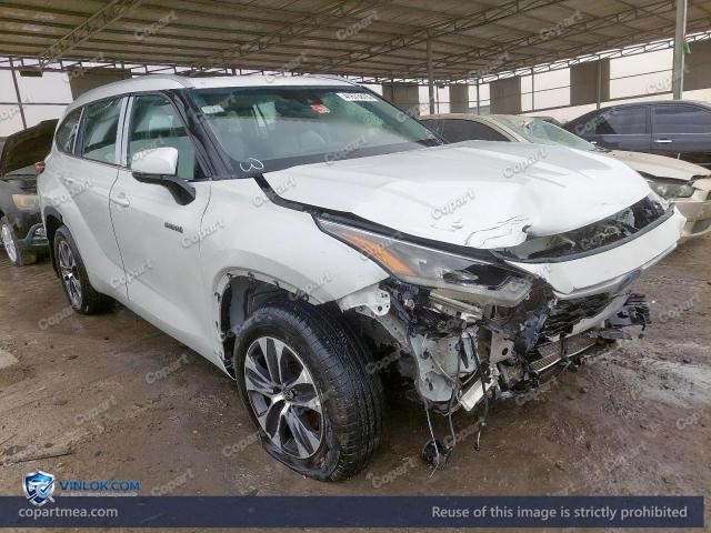Auction photo