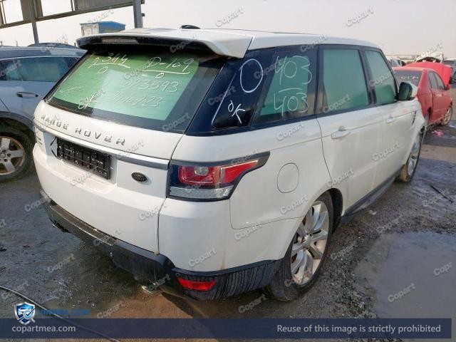 Auction photo