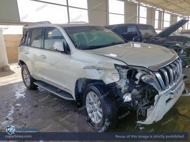 Auction photo