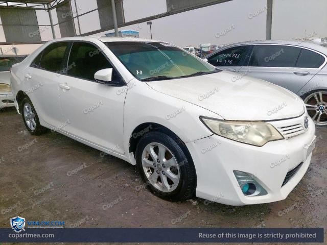 Auction photo