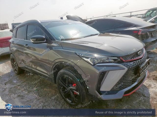 2025 GEEL COOLRAY — Lot 41849726 auction photo