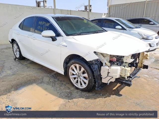Auction photo