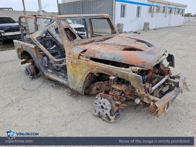Auction photo