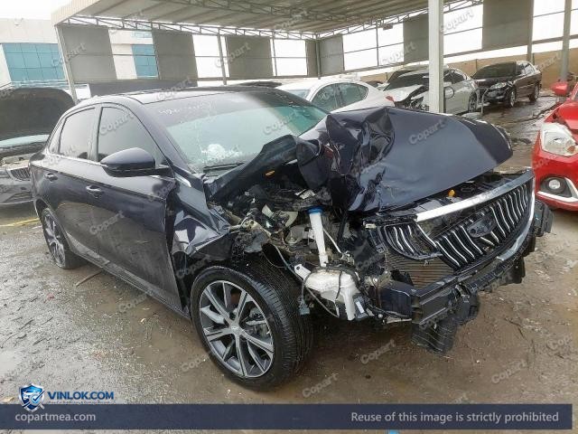 Auction photo