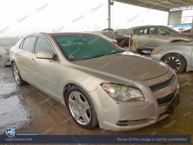 Auction photo