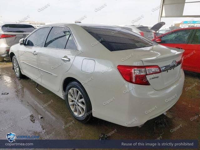 Auction photo