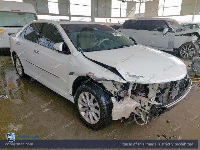 Auction photo