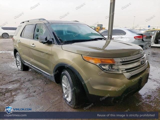 Auction photo
