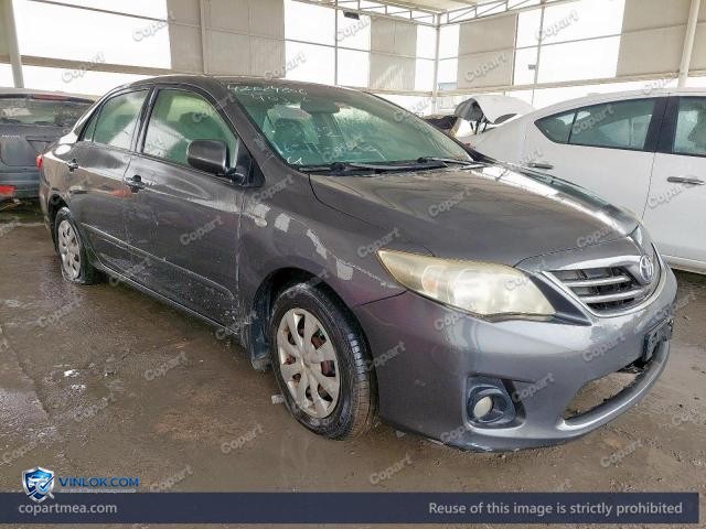 Auction photo