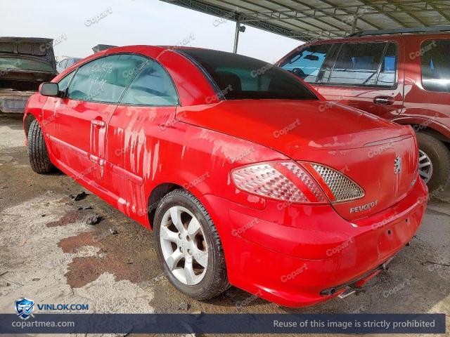 Auction photo