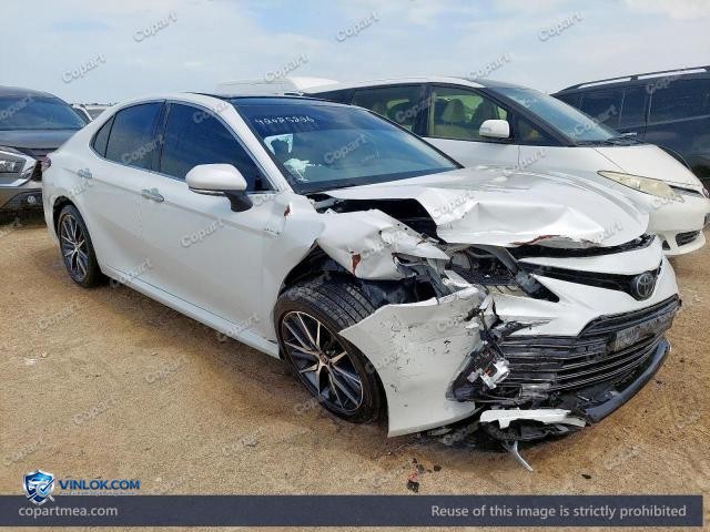 Auction photo