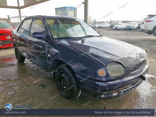 Auction photo