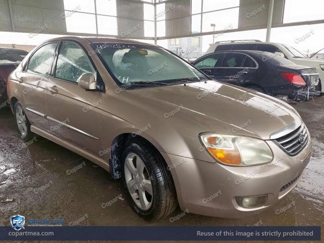 Auction photo