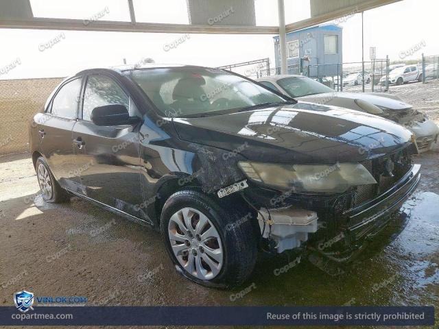 Auction photo