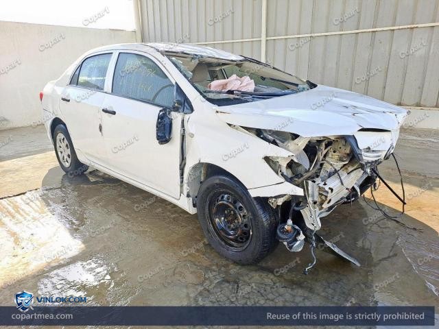 Auction photo
