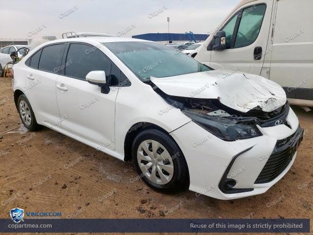 Auction photo