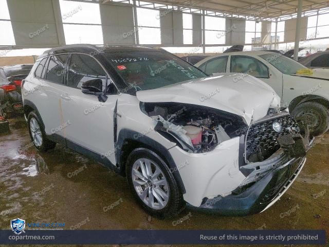 Auction photo