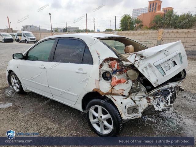 Auction photo
