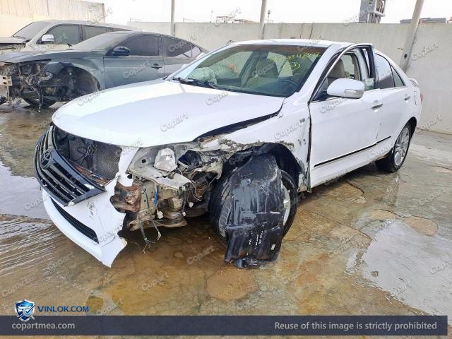 Auction photo