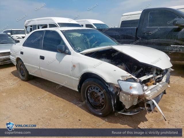Auction photo