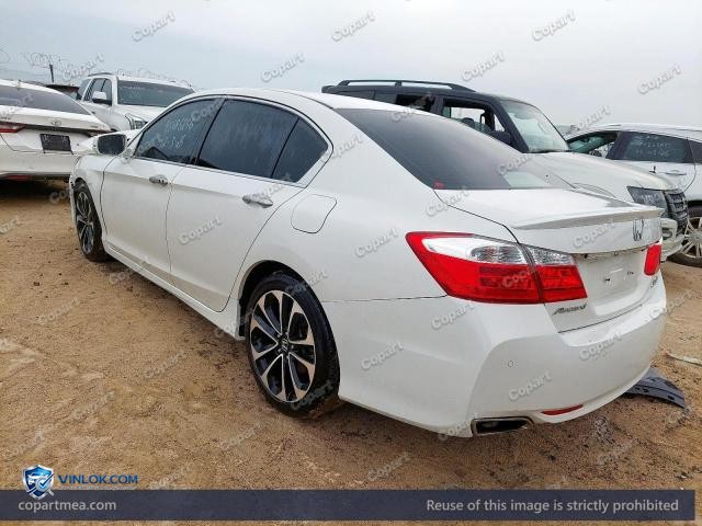 Auction photo