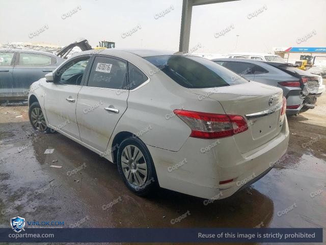 Auction photo