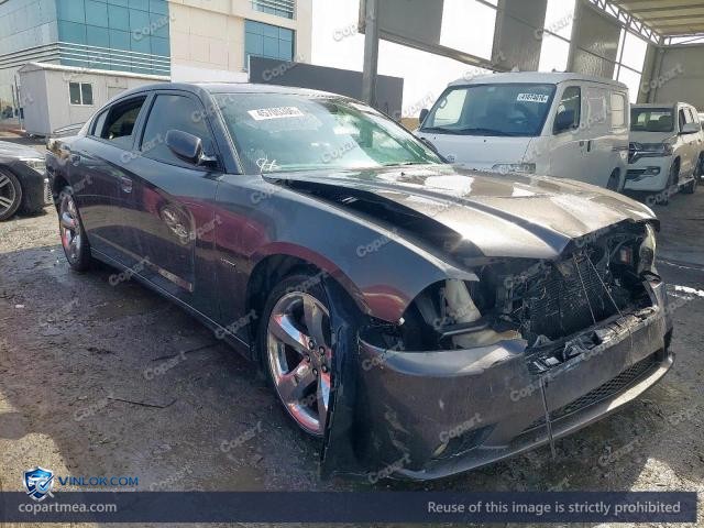 Auction photo