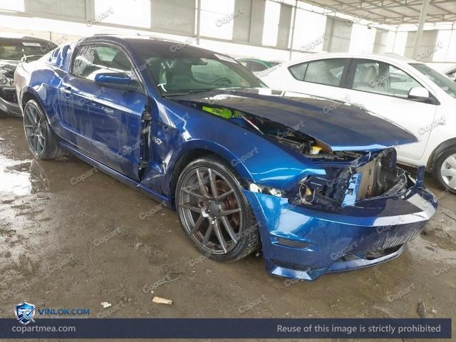 Auction photo