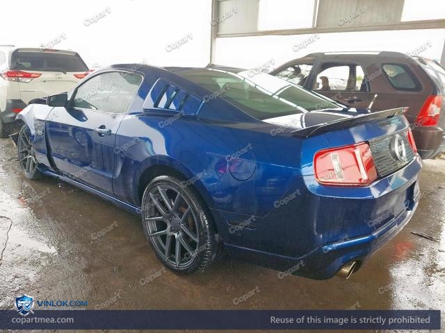 Auction photo