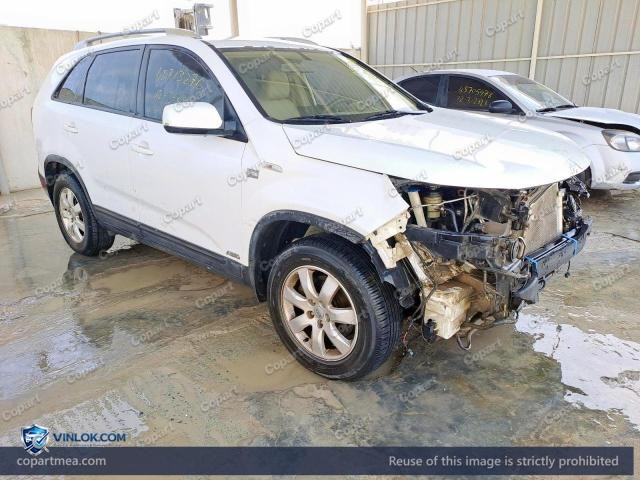 Auction photo