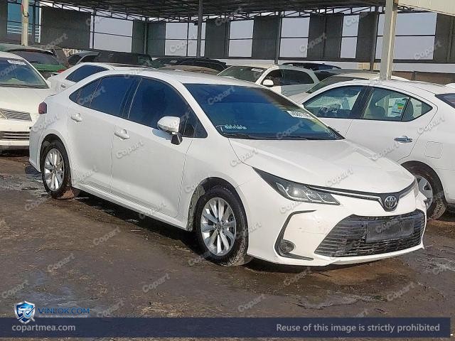 Auction photo