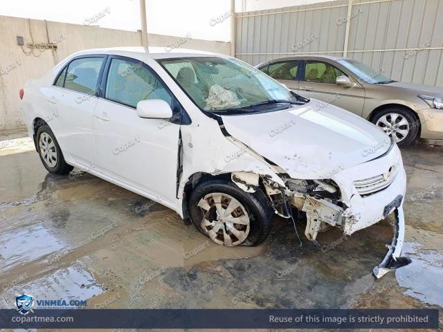 Auction photo