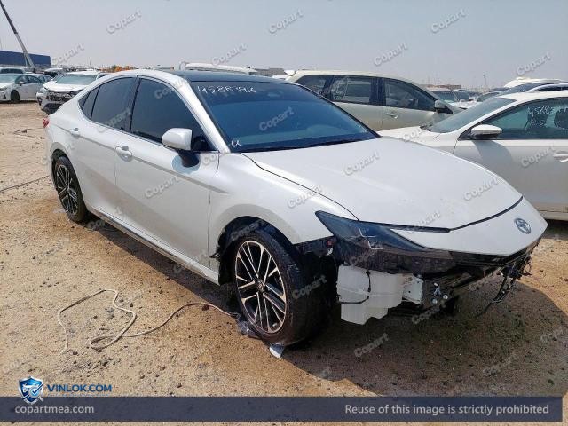Auction photo