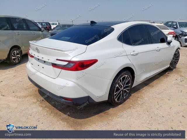 Auction photo