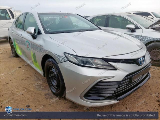 Auction photo