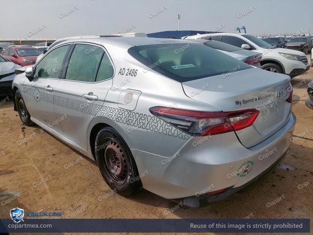 Auction photo
