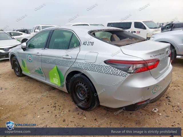 Auction photo