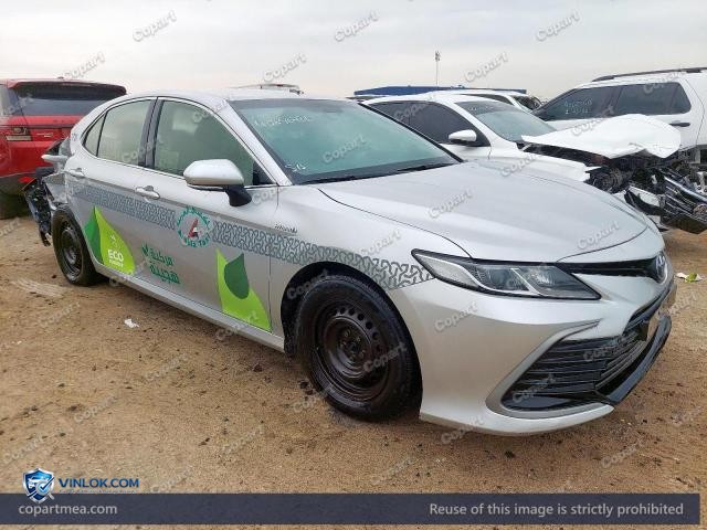 Auction photo